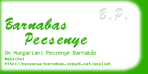 barnabas pecsenye business card